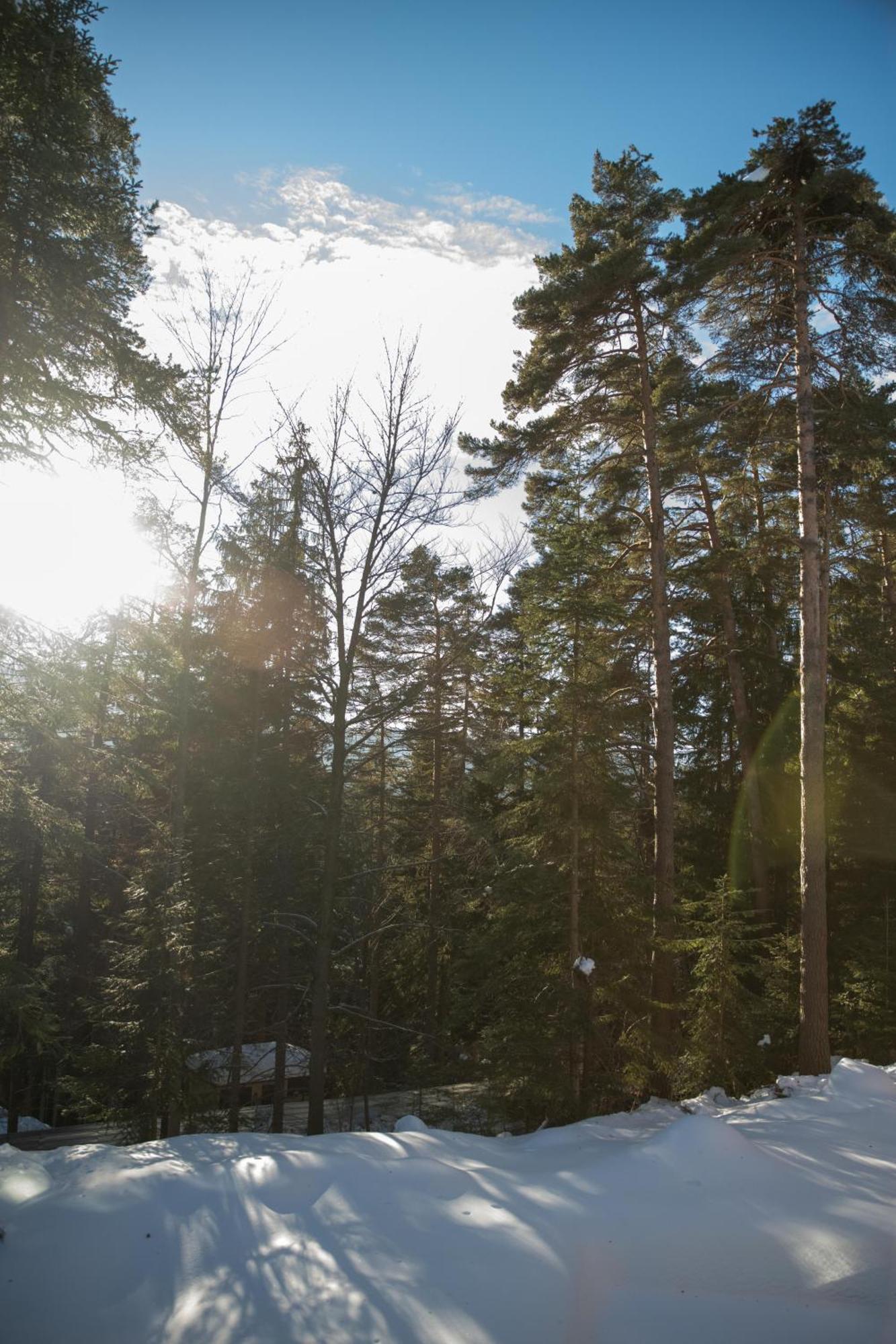 Hotel Borovets Edelweiss 외부 사진